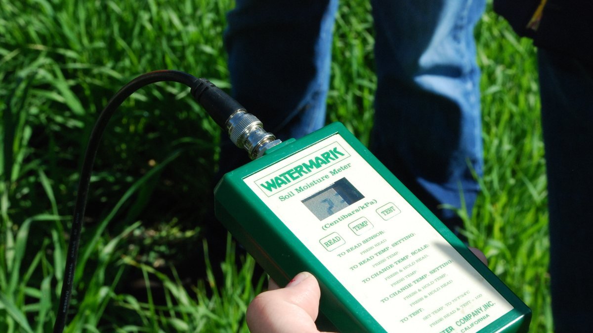 A real soil moisture meter being used to check moisture in a planted area